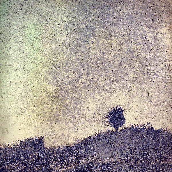 Výtvarná fotografie cyklus Krajiny imaginace. Strom ve větru na kopci.
